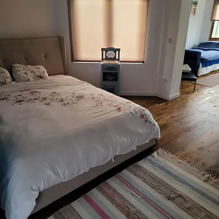 The Vie Llage - Olive Tree Double * Vagos