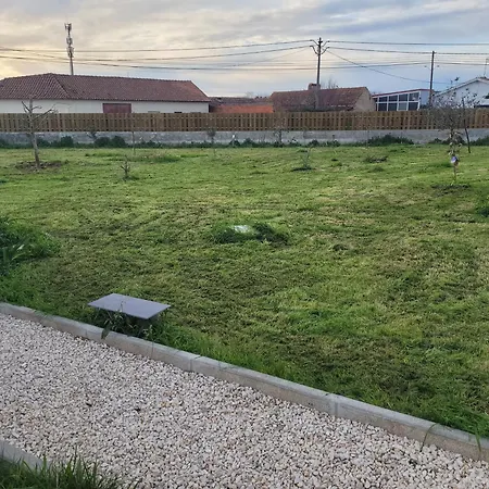 The Vie Llage - Olive Tree Double Vagos