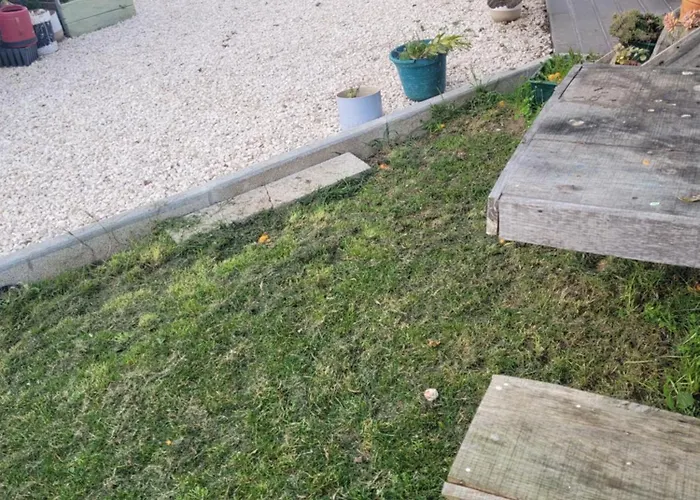 The Vie Llage - Olive Tree Double Kompleks wypoczynkowy