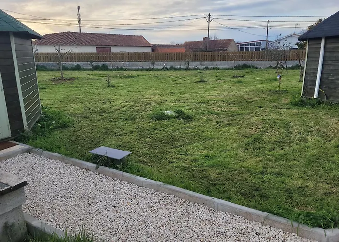 The Vie Llage - Olive Tree Double Vagos